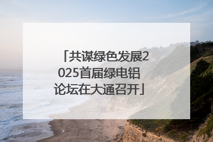 共谋绿色发展2025首届绿电铝论坛在大通召开
