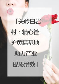 关岭白岩村：精心管护黄精基地 助力产业提质增效