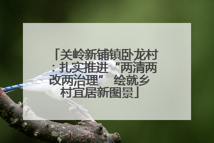 关岭新铺镇卧龙村：扎实推进“两清两改两治理” 绘就乡村宜居新图景