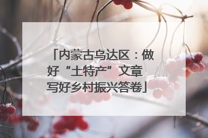 内蒙古乌达区：做好“土特产”文章 写好乡村振兴答卷