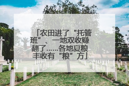 农田进了“托管班”、一地双收赚翻了……各地夏粮丰收有“粮”方