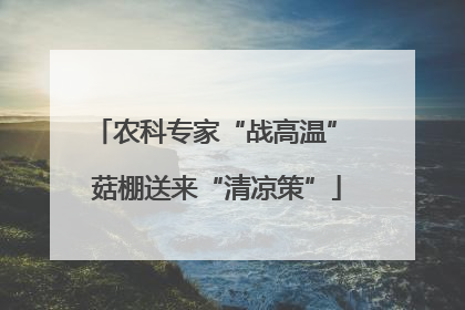 农科专家“战高温” 菇棚送来“清凉策”