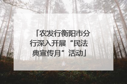 农发行衡阳市分行深入开展“民法典宣传月”活动