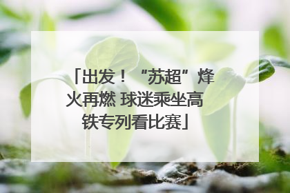 出发！“苏超”烽火再燃 球迷乘坐高铁专列看比赛
