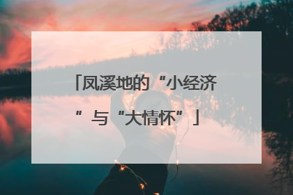 凤溪地的“小经济”与“大情怀”