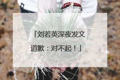 刘若英深夜发文道歉：对不起！