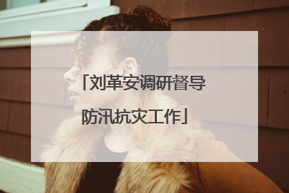 刘革安调研督导防汛抗灾工作