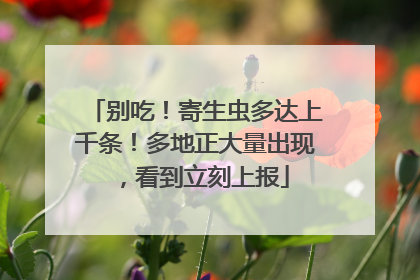 别吃！寄生虫多达上千条！多地正大量出现，看到立刻上报