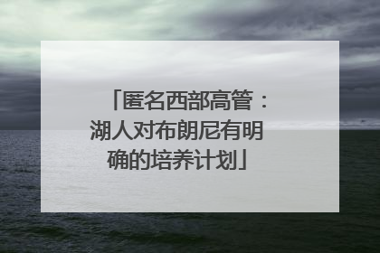 匿名西部高管：湖人对布朗尼有明确的培养计划