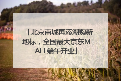 北京南城再添潮购新地标，全国最大京东MALL端午开业
