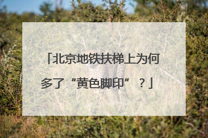 北京地铁扶梯上为何多了“黄色脚印”？