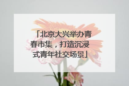 北京大兴举办青春市集，打造沉浸式青年社交场景