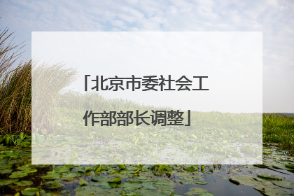 北京市委社会工作部部长调整