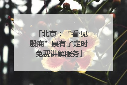 北京：“看·见殷商”展有了定时免费讲解服务