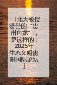 北大教授赞誉的“贵州鱼龙”，是这样的｜2025年生态文明贵阳国际论坛