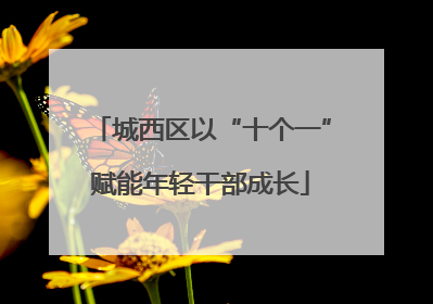 城西区以“十个一”赋能年轻干部成长