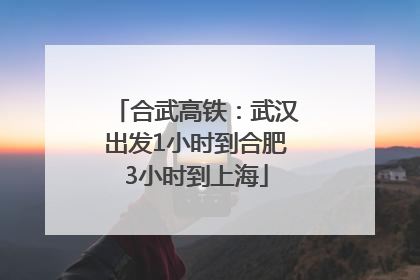 合武高铁：武汉出发1小时到合肥3小时到上海