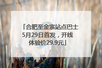 合肥至金寨站点巴士5月29日首发，开线体验价29.9元