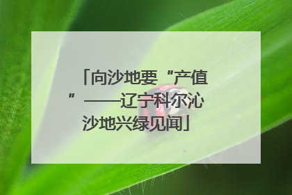 向沙地要“产值”——辽宁科尔沁沙地兴绿见闻
