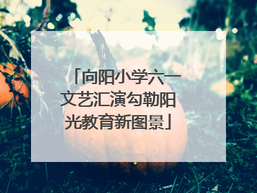 向阳小学六一文艺汇演勾勒阳光教育新图景