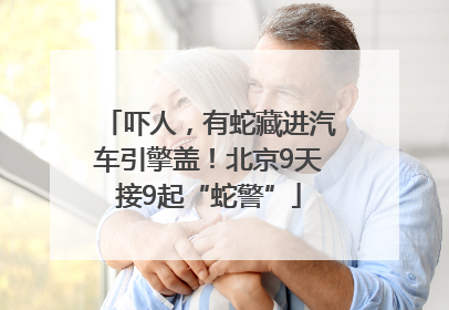 吓人，有蛇藏进汽车引擎盖！北京9天接9起“蛇警”