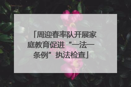 周迎春率队开展家庭教育促进“一法一条例”执法检查