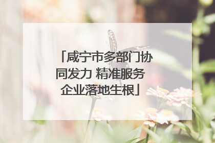 咸宁市多部门协同发力 精准服务企业落地生根
