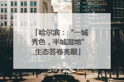 哈尔滨：“一城秀色，半城湿地”生态答卷亮眼