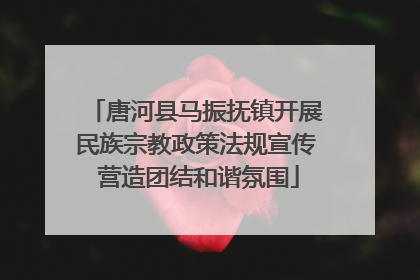 唐河县马振抚镇开展民族宗教政策法规宣传 营造团结和谐氛围