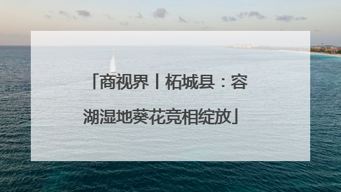 商视界丨柘城县：容湖湿地葵花竞相绽放