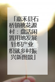 嘉禾县石桥镇桃花源村：盘活闲置用地发展针织产业 织就乡村振兴新图景