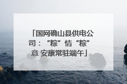 国网确山县供电公司：“粽”情“粽”意 安康常驻端午