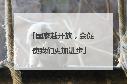 国家越开放，会促使我们更加进步