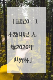 国足0：1不敌印尼 无缘2026年世界杯