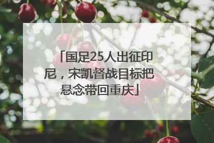 国足25人出征印尼，宋凯督战目标把悬念带回重庆
