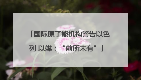 国际原子能机构警告以色列 以媒：“前所未有”