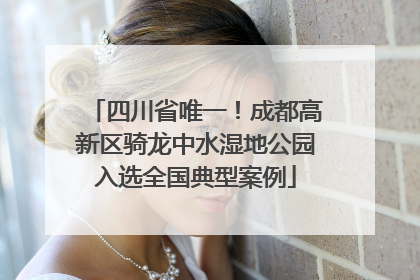 四川省唯一！成都高新区骑龙中水湿地公园入选全国典型案例