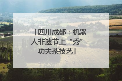 四川成都：机器人非遗节上“秀”功夫茶技艺