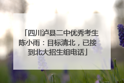 四川泸县二中优秀考生陈小雨：目标清北，已接到北大招生组电话
