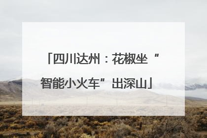 四川达州：花椒坐“智能小火车”出深山