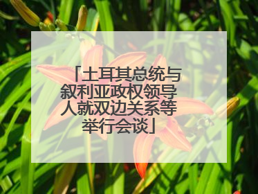 土耳其总统与叙利亚政权领导人就双边关系等举行会谈