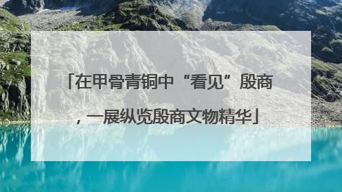 在甲骨青铜中“看见”殷商，一展纵览殷商文物精华