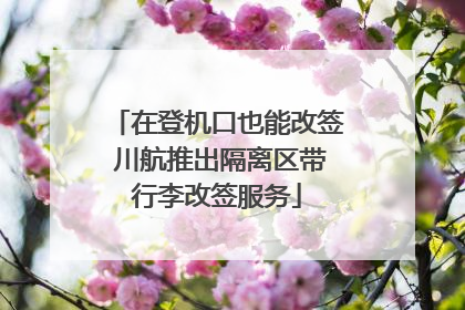 在登机口也能改签 川航推出隔离区带行李改签服务