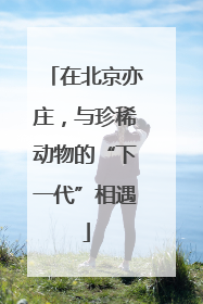 在北京亦庄，与珍稀动物的“下一代”相遇
