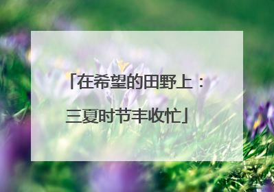 在希望的田野上：三夏时节丰收忙