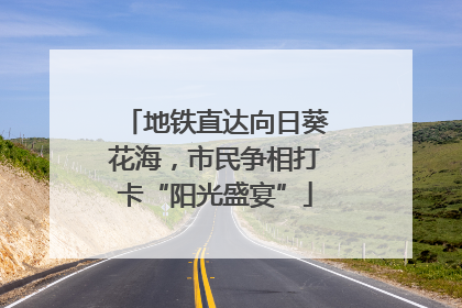地铁直达向日葵花海，市民争相打卡“阳光盛宴”