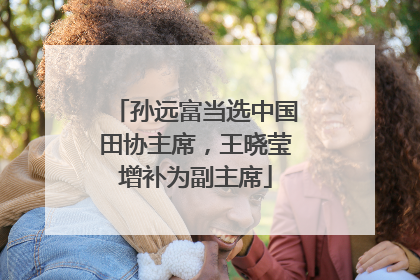 孙远富当选中国田协主席，王晓莹增补为副主席