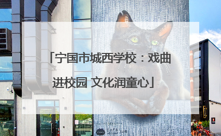 宁国市城西学校：戏曲进校园 文化润童心