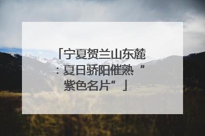 宁夏贺兰山东麓：夏日骄阳催熟“紫色名片”