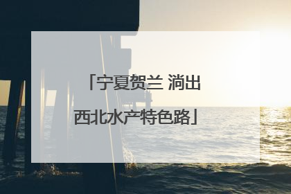 宁夏贺兰 淌出西北水产特色路